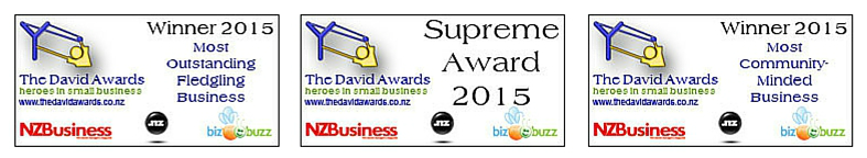 Heat Pumps NOW David Awards Supreme Winners Community Minded Business Fledgling Business Christchurch Small Business