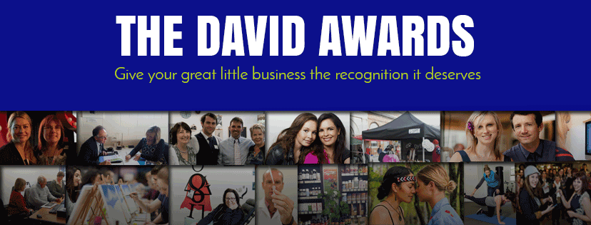 The David Awards, Recognizing Excellence in small businesses like Heat Pumps NOW