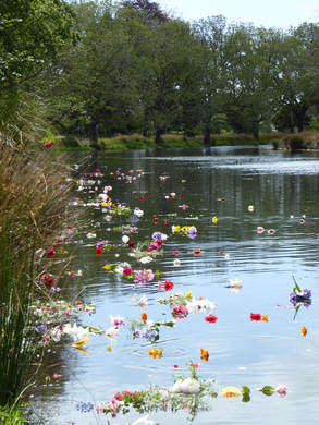 River of Flowers commemorating the Canterbury Earthquakes