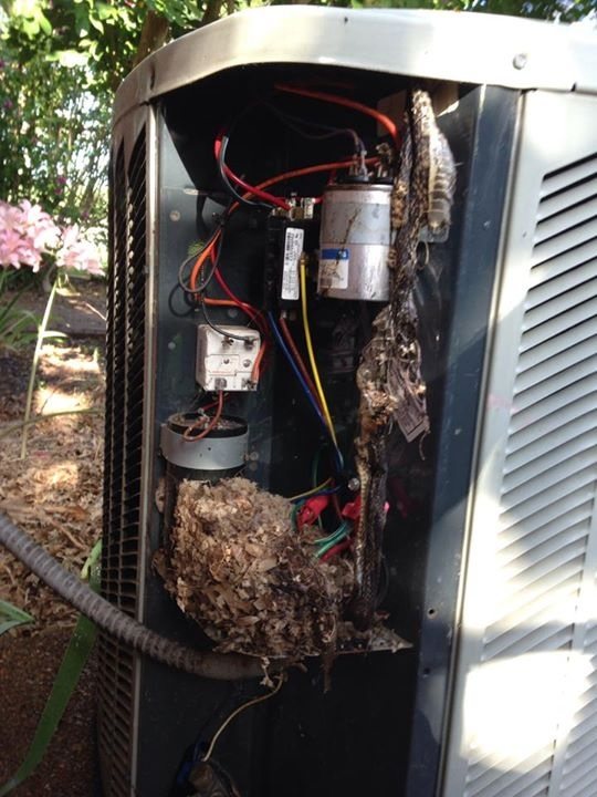 This is what can happen when Christchurch heat pumps go unserviced